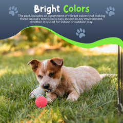 Petite Paws neon orange squeaky tennis ball stands out in park fetch