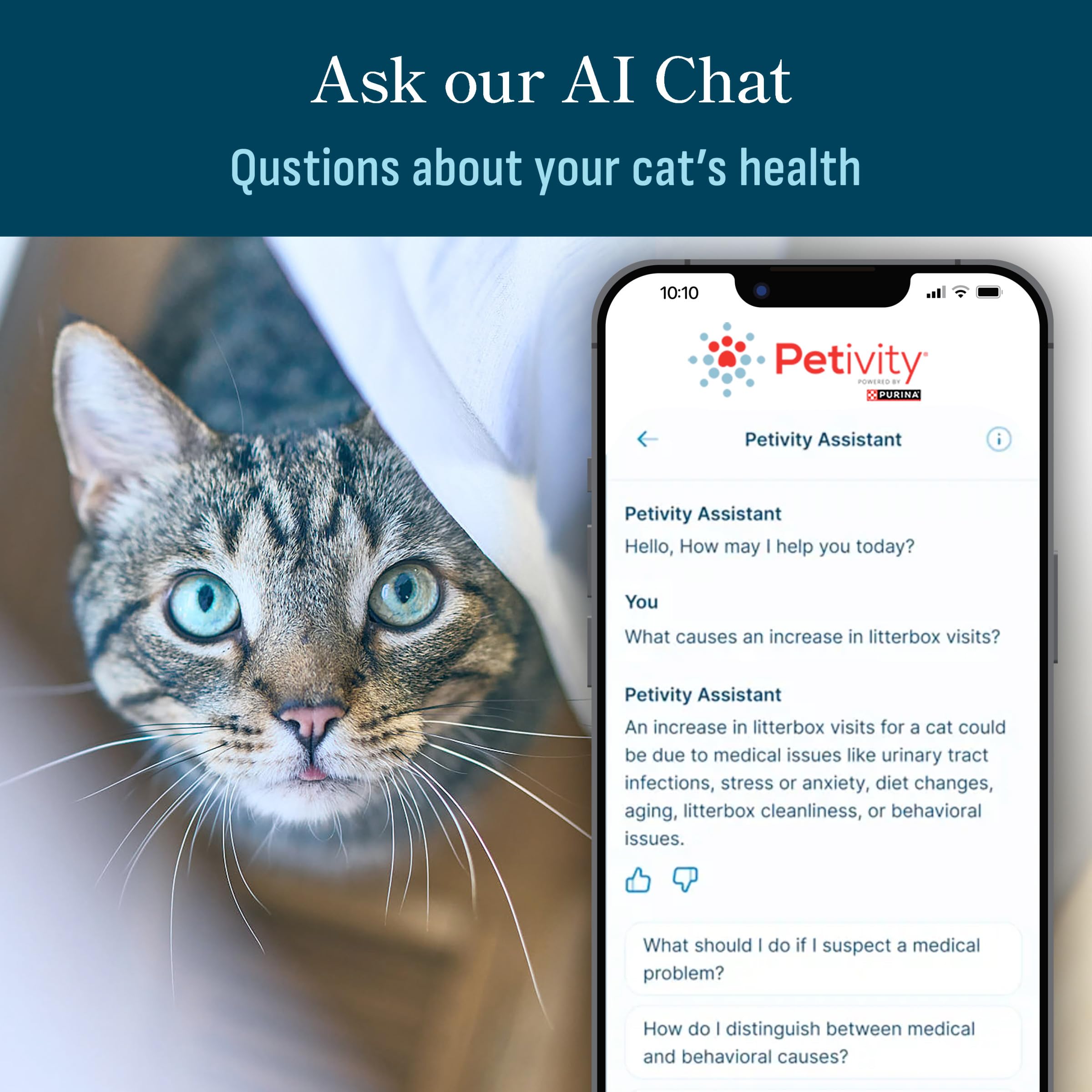 Petivity Smart Litter Box Monitor daily insights chart.