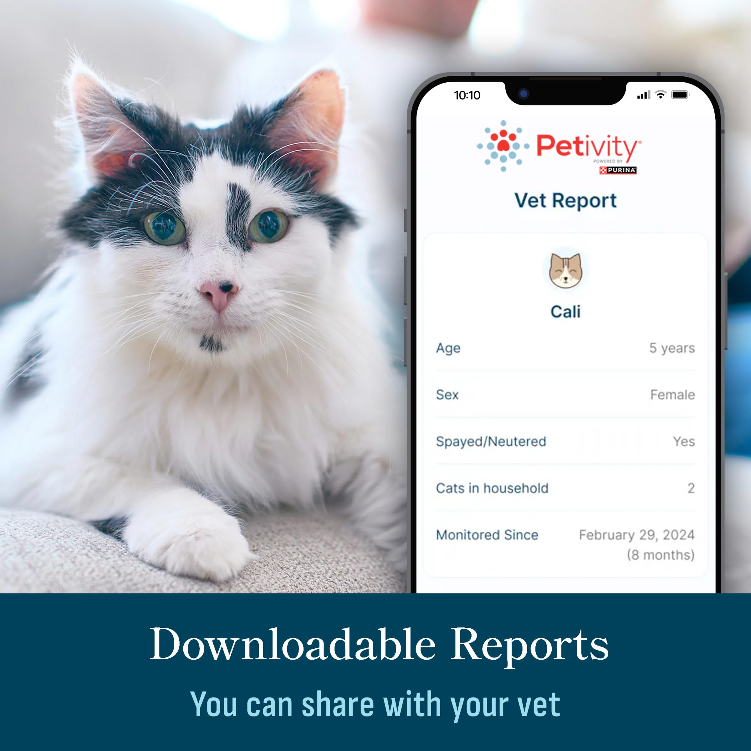 Petivity Smart Litter Box Monitor phone pairing screen.