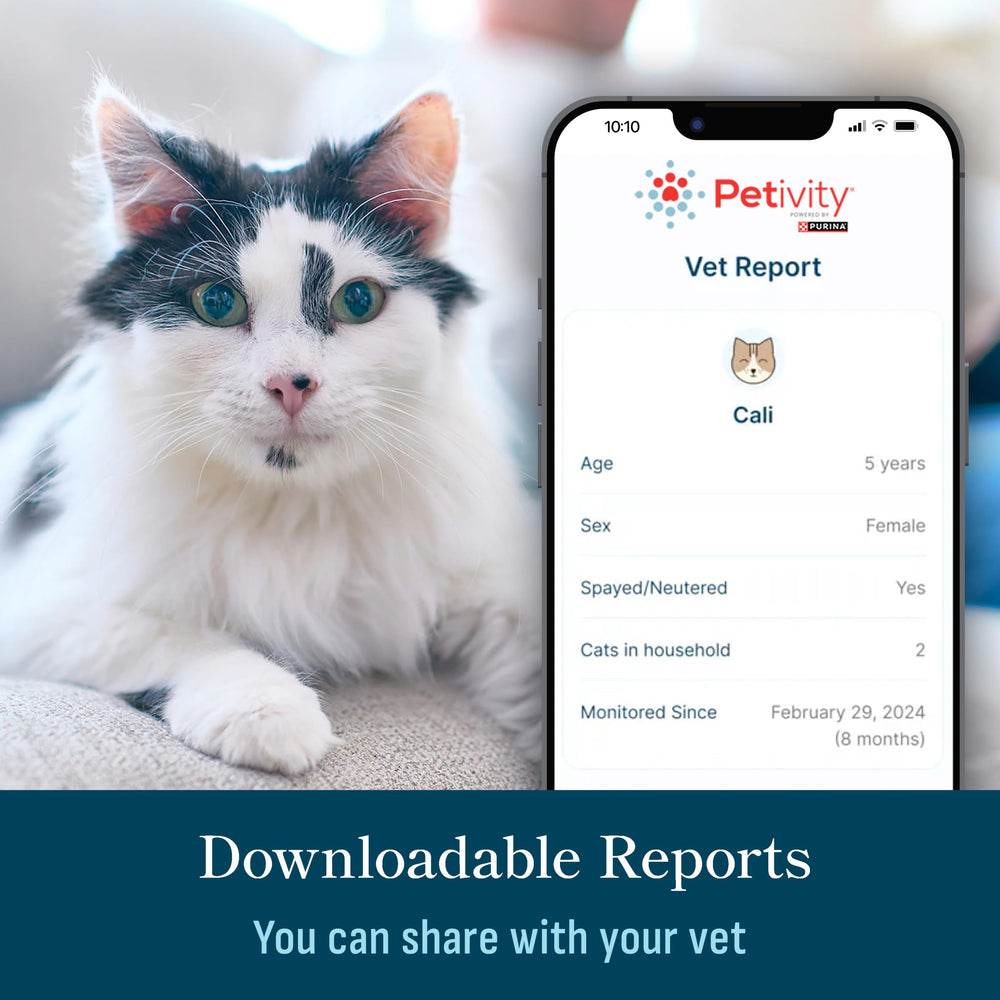 Petivity Smart Litter Box Monitor phone pairing screen.