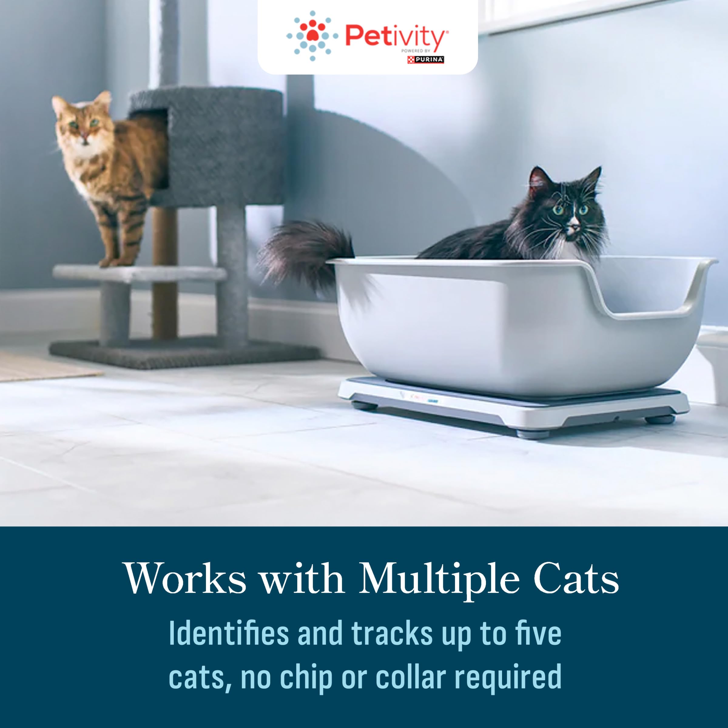 Petivity Smart Litter Box Monitor setup under a litter box.