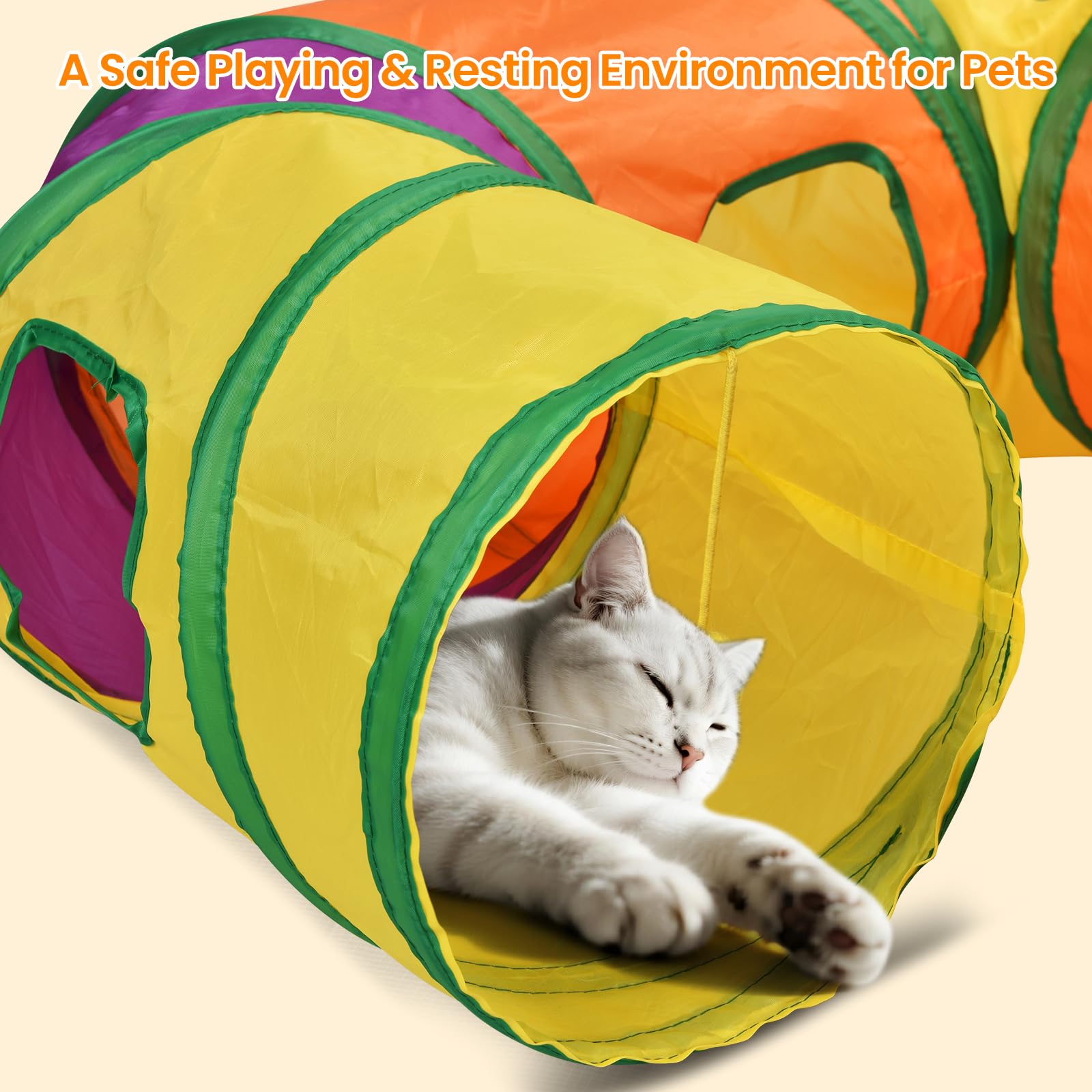 Petizer cat tunnel wide-angle view showing vibrant colors and multiple entrances