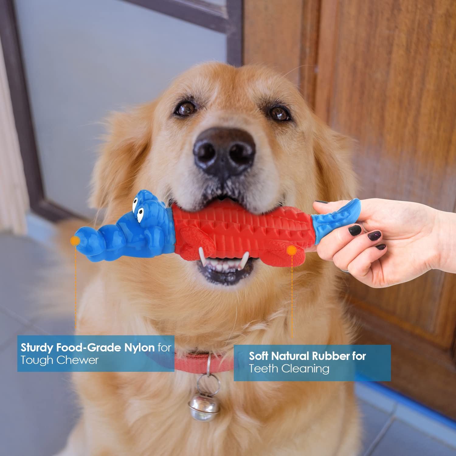 Petizer alligator closed-bite design: safer grip and intense chewing.