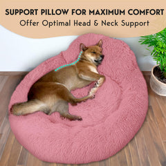 PET JETT anti-slip bottom detail showing PVC dots for stable rest.