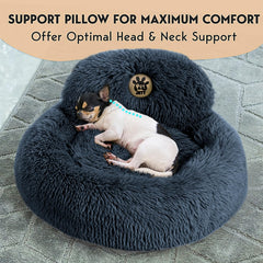PET JETT Donut Bed anti-slip bottom demonstrates secure placement during playtime and rest.