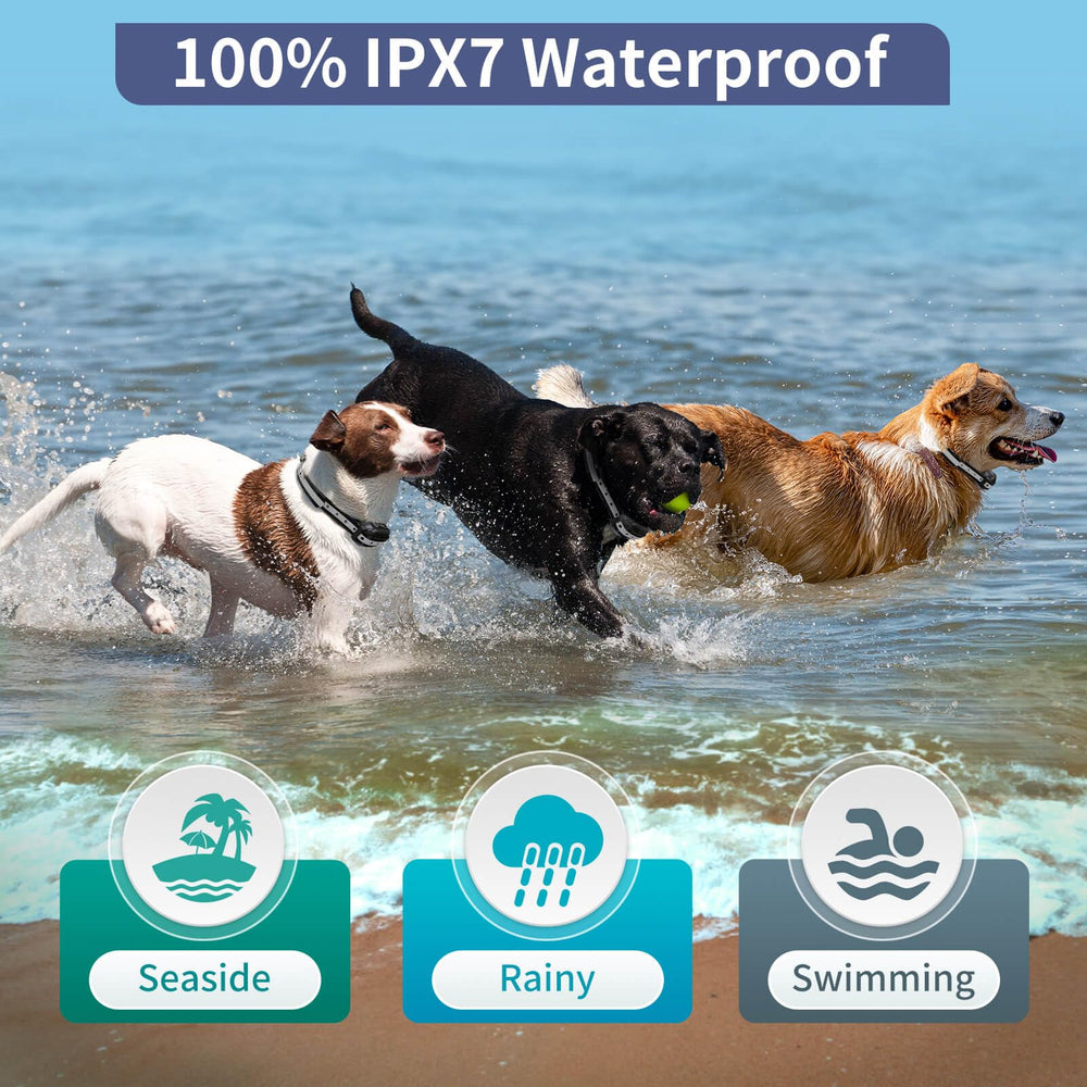 PetJoy 4 training modes UI on collar display showing beep, vibration, shock, auto.