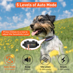 PetJoy training collar with four stimulation modes for dogs