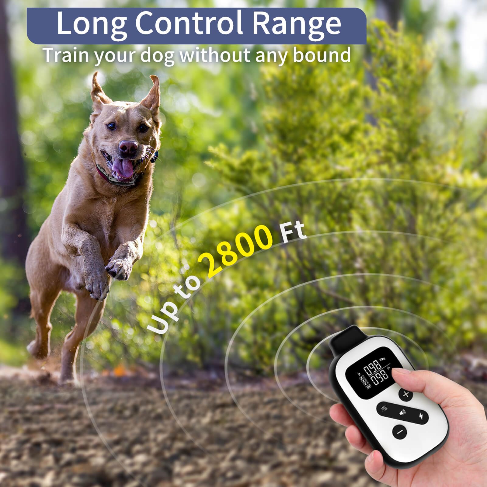 PetJoy battery life highlight shows long remote and receiver endurance.