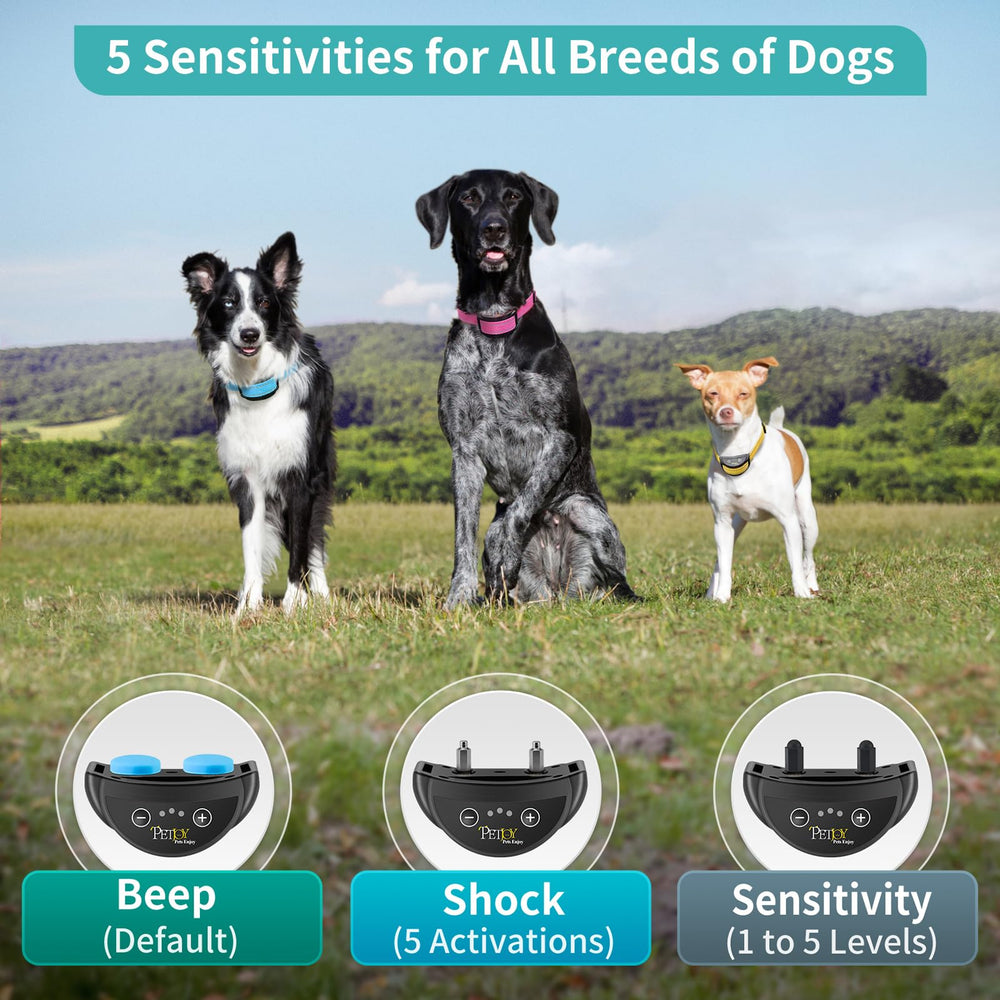 PetJoy bark collar sensitivity levels tailor corrections to different dog sizes and temperaments.