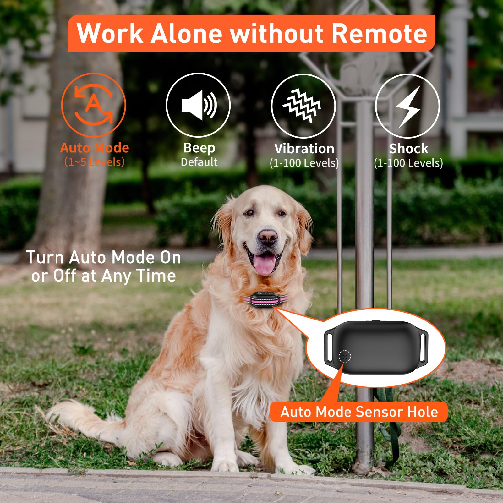 PetJoy dog training collar used outdoors for calm training
