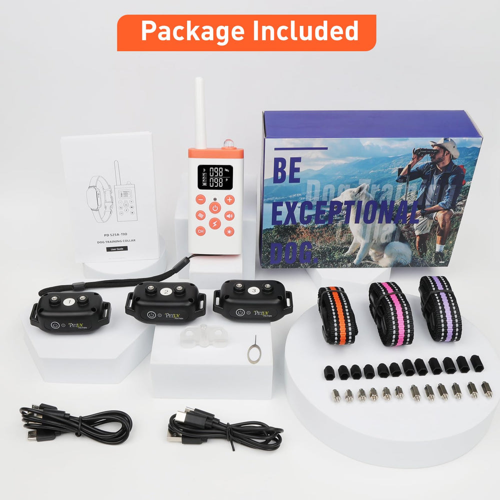 PetJoy IPX7 waterproof collar ready for outdoor use