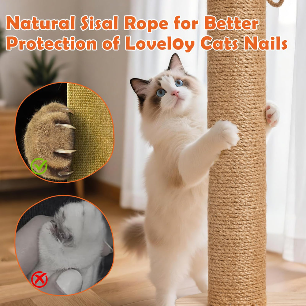 Petjoyi interactive balls encourage chase and mental stimulation during playtime.