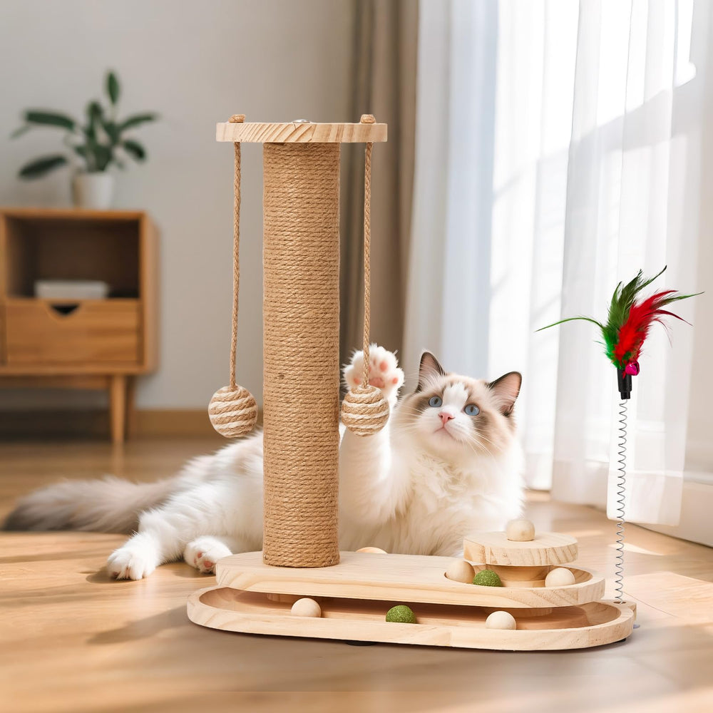 Petjoyi kitten playtime fosters exercise and bonding in small spaces.