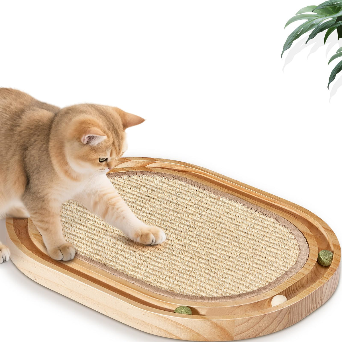 Petjoyi cat scratcher front view with sisal pad and track.