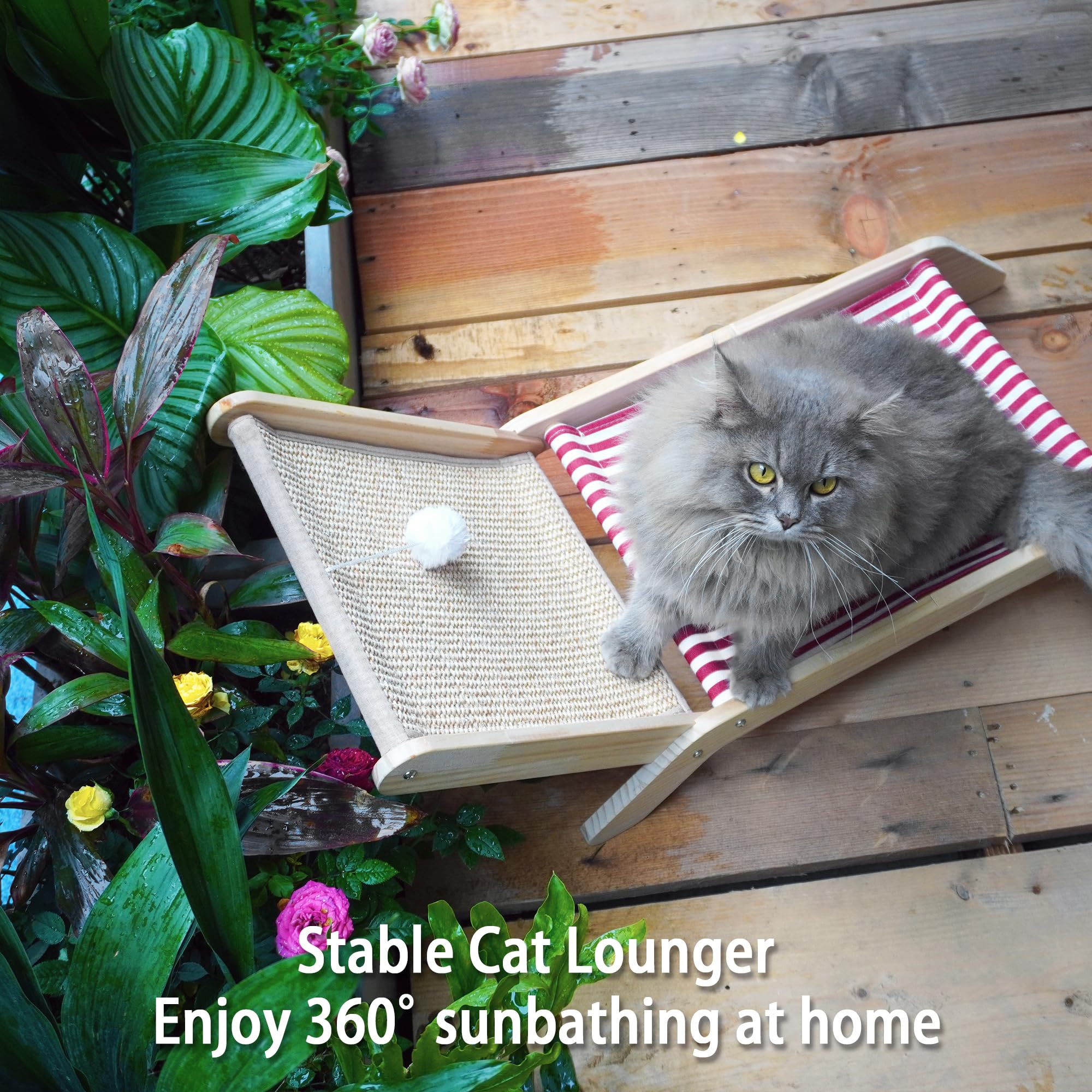 PETKARAY anti-slip elevated bed ensures safe, stable lounging for indoor cats.
