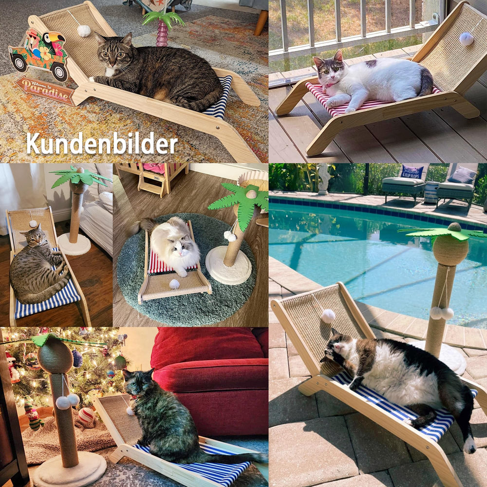 PETKARAY Beach Chair Cat Hammock designed for indoor use, keeping cats off the cold floor.