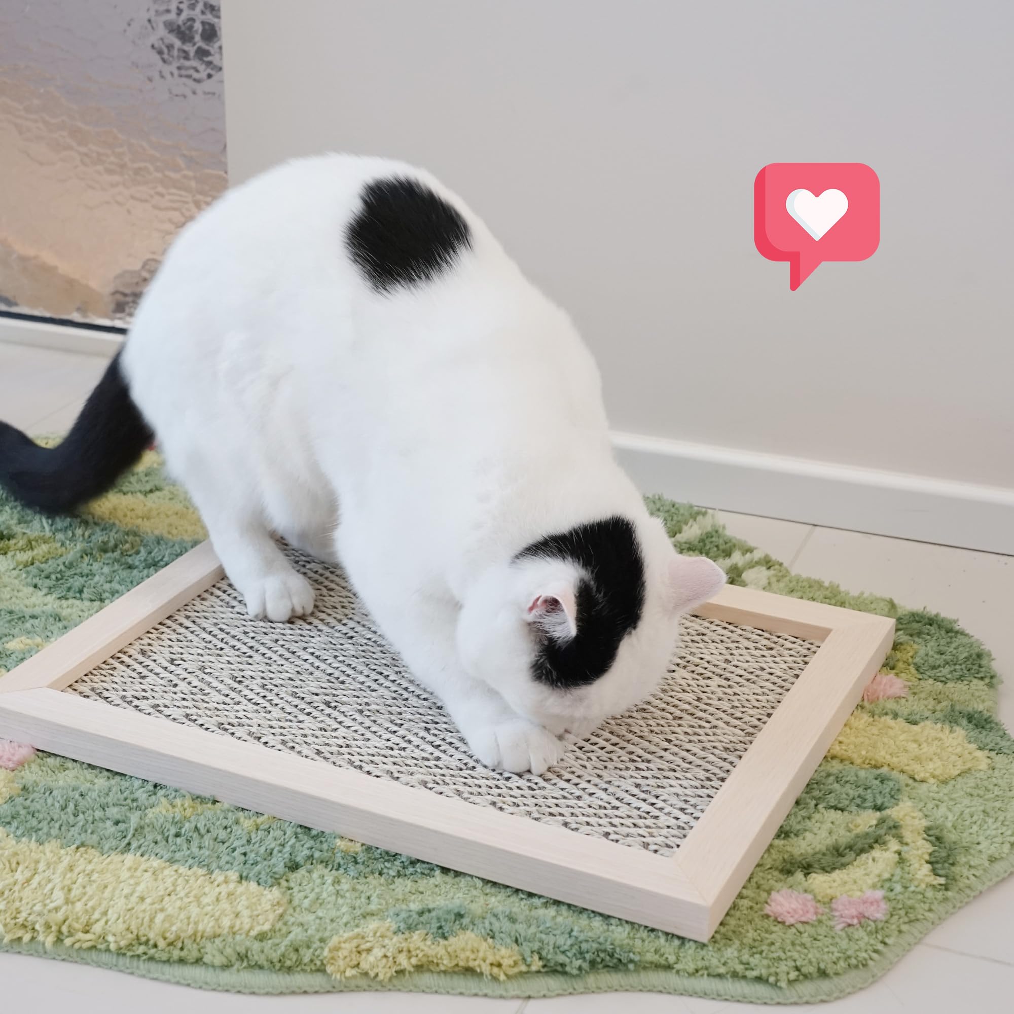 PETKARAY cat-friendly scratcher demonstrates practical, decor-friendly solution for daily scratching