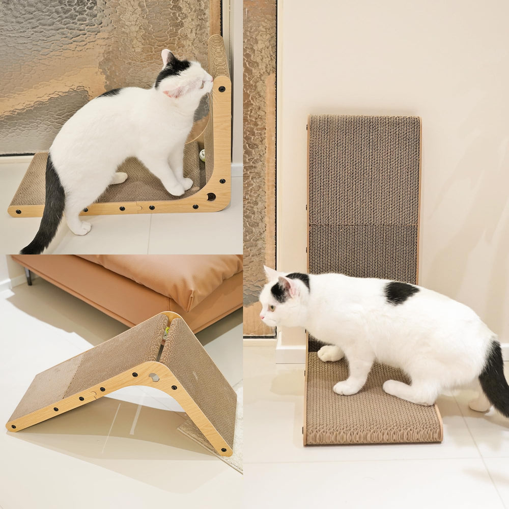 PETKARAY cat-napping-on-scratcher-ball depicts cozy resting during playtime.