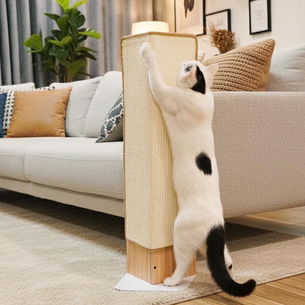 PETKARAY catnip-included sample invites cats to explore the scratcher right away