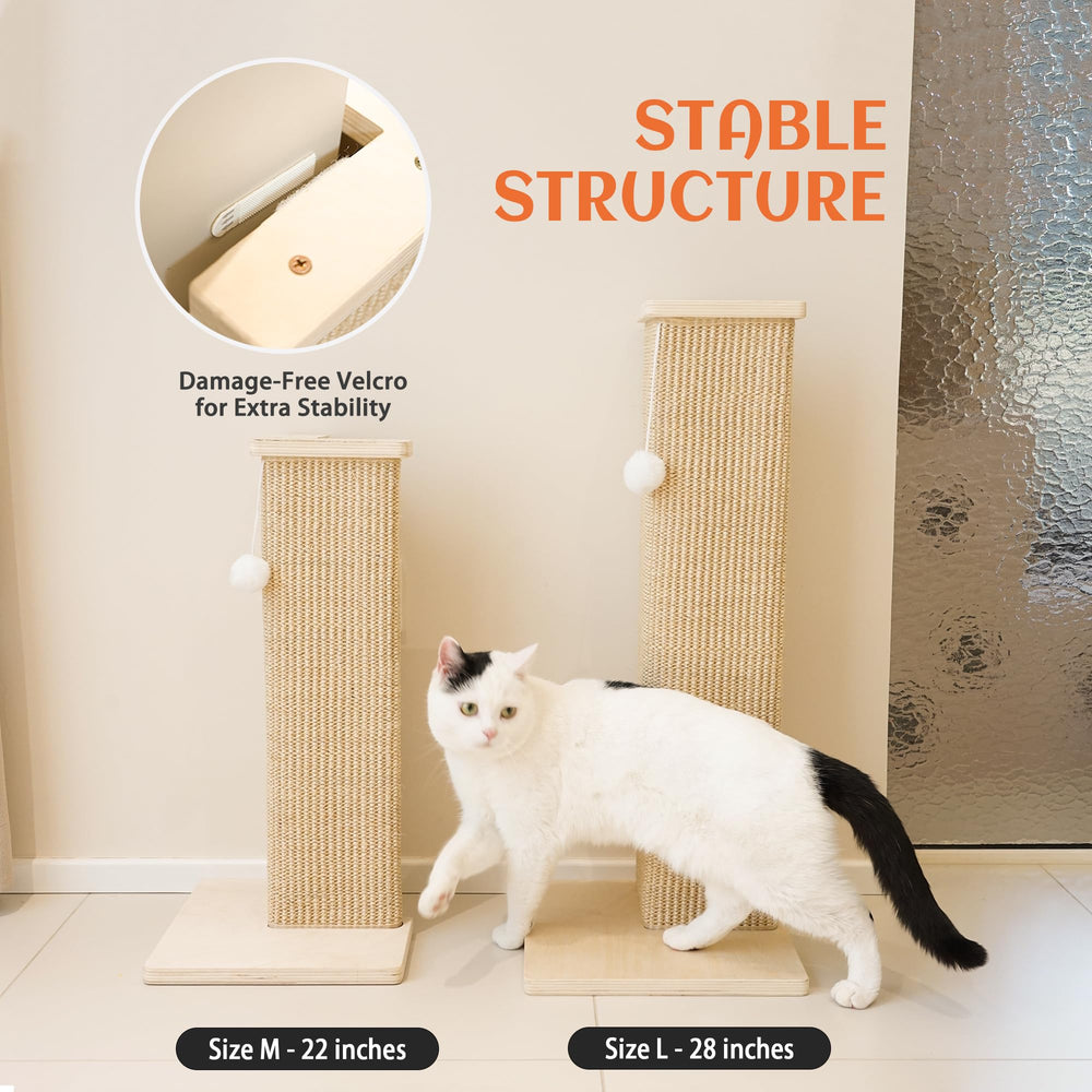 PETKARAY easy-assembly-steps shows a quick five-minute setup.