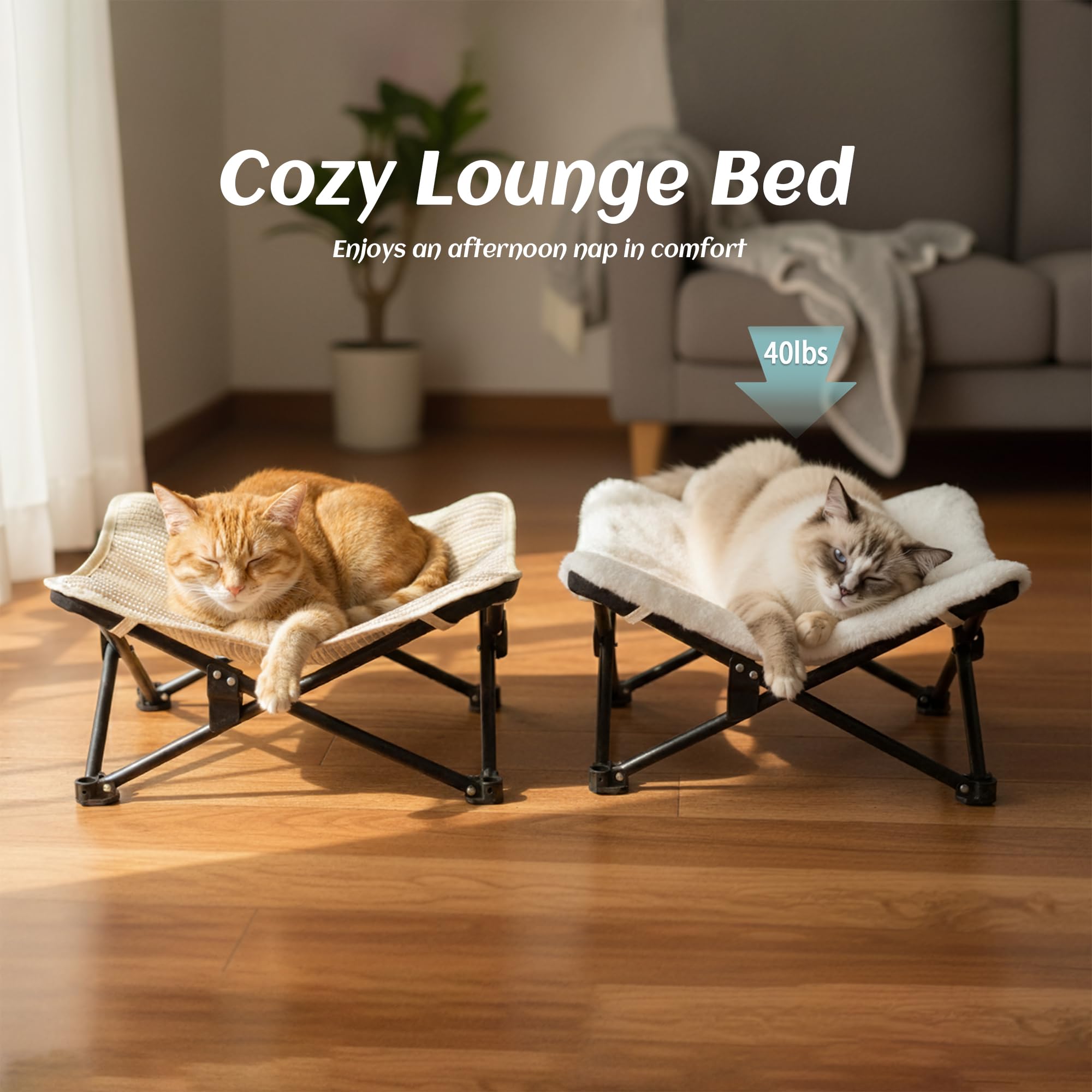 PETKARAY Foldable Design offers instant use and easy storage when not in use.