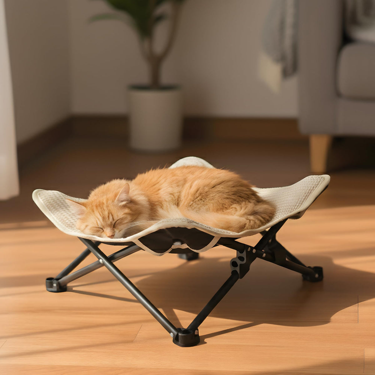 PETKARAY Foldable Sisal Cat Scratcher Bed demonstrates versatile lounging and scratching in a single sturdy frame.