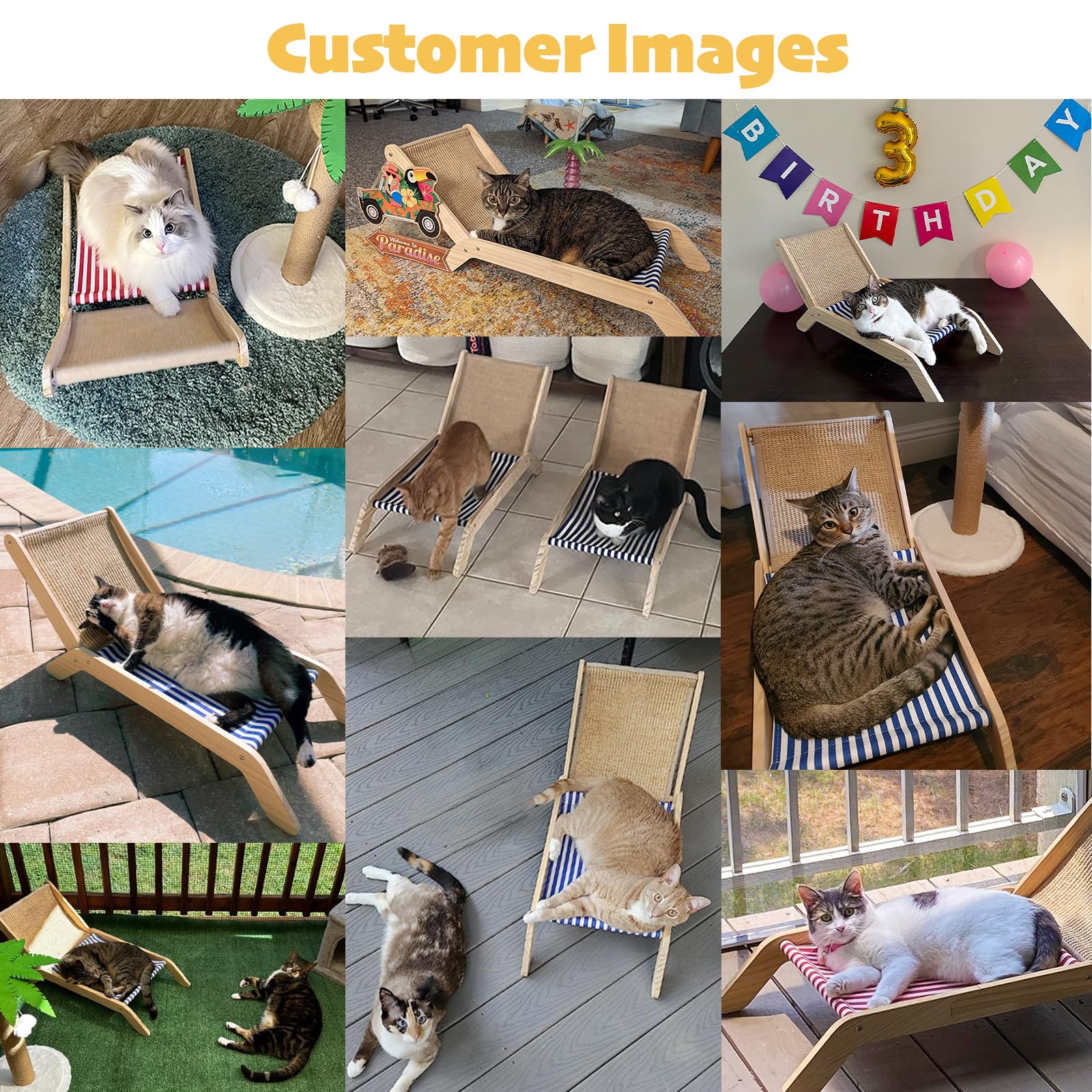 PETKARAY gift-ready cat scratch post makes a thoughtful kitten gift