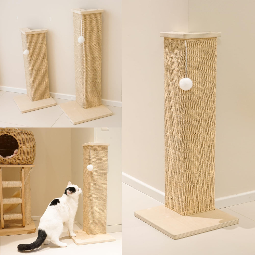 PETKARAY toy-ball-play-feature invites interactive play for energized cats.