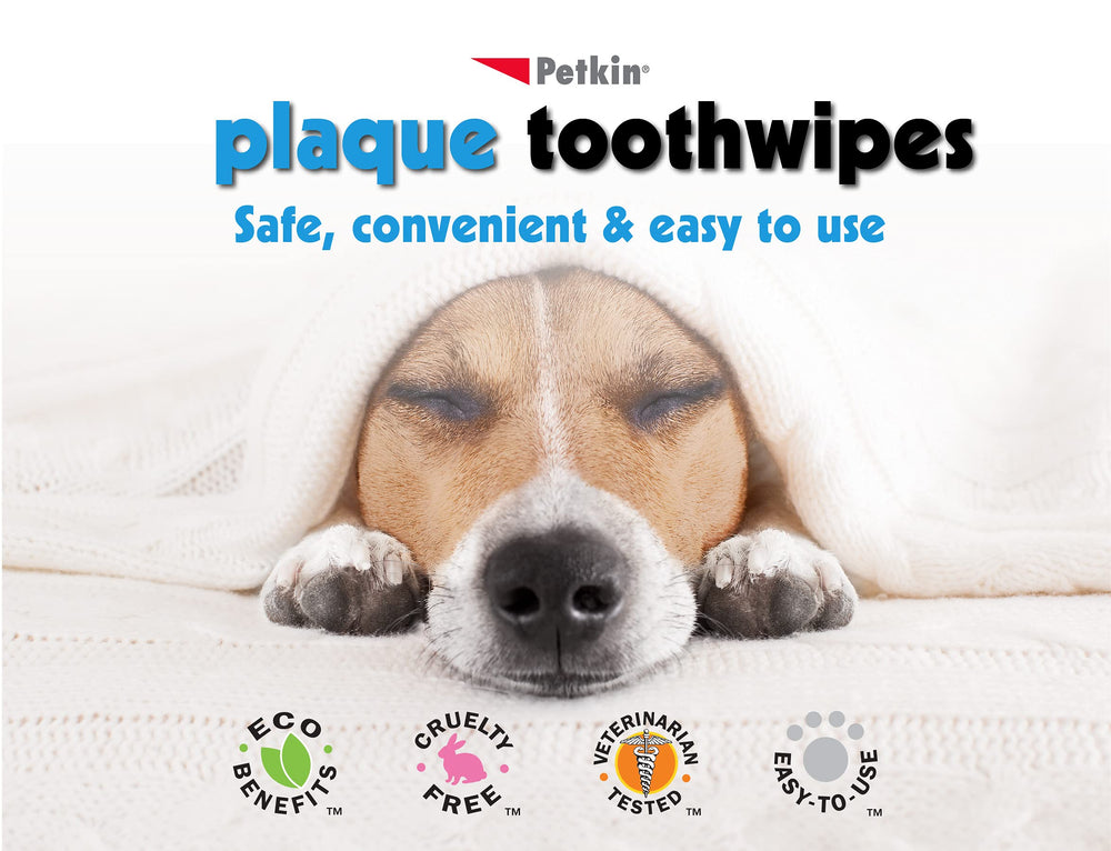 Petkin dental wipes closeup of teeth and gums with minty freshness.