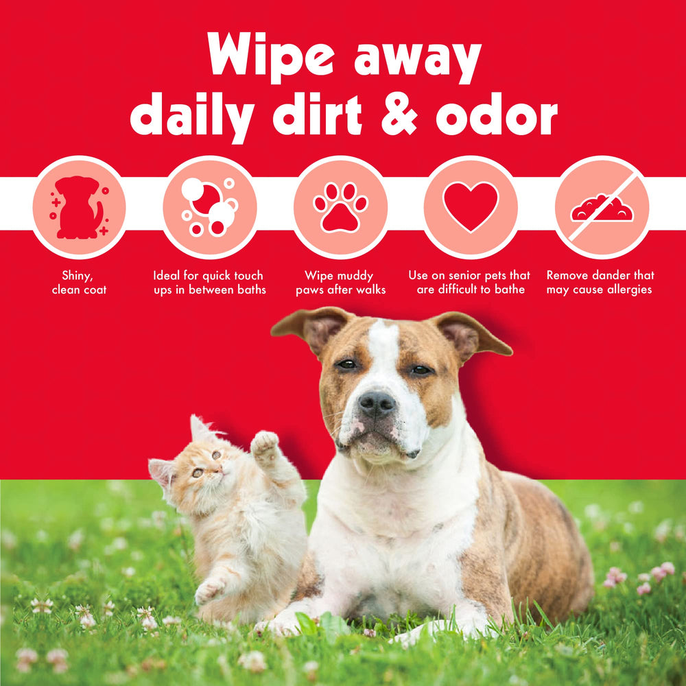 Petkin Mega PetWipes with gentle soap, vitamin E, aloe for skin comfort