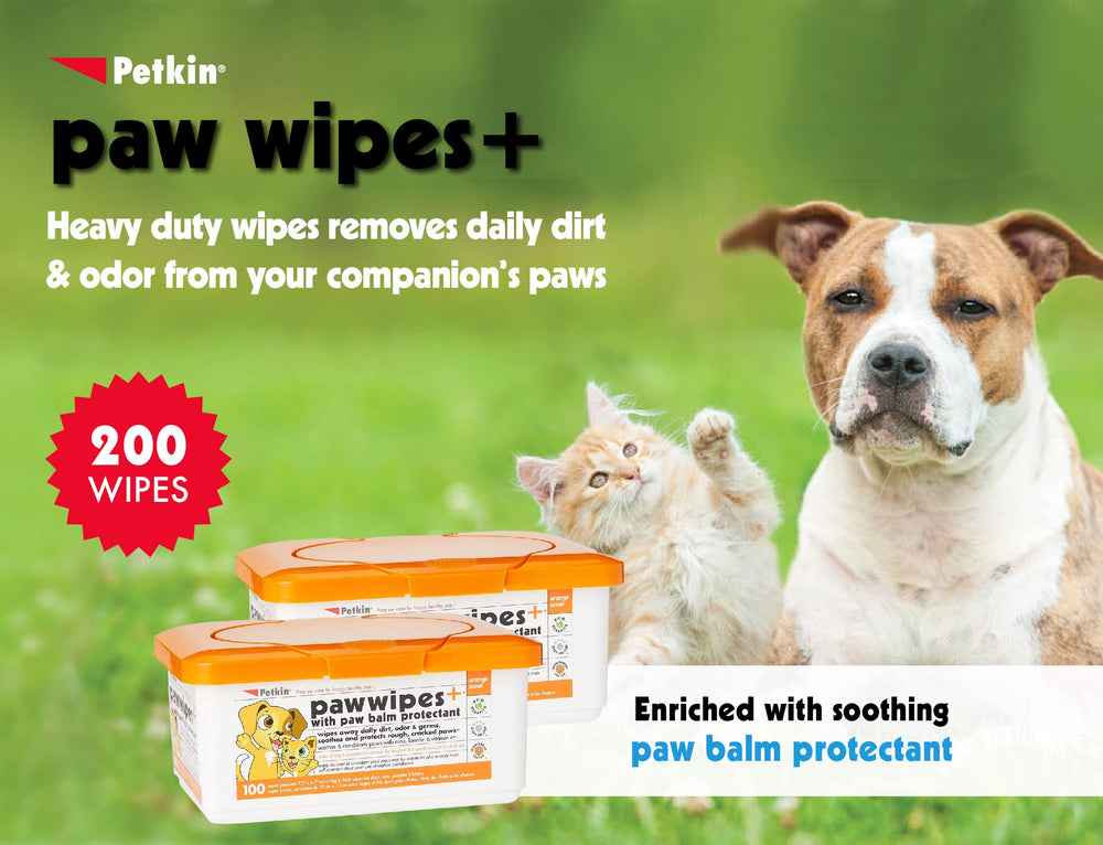 Petkin Paw Wipes Plus 200 orange-scented wipes for fresh smelling paws.