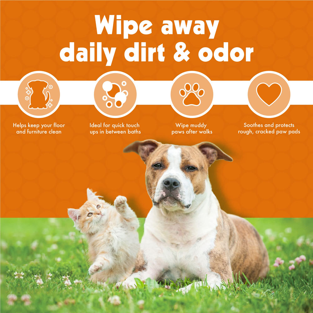 Petkin paw wipes travel-ready protection for car interiors