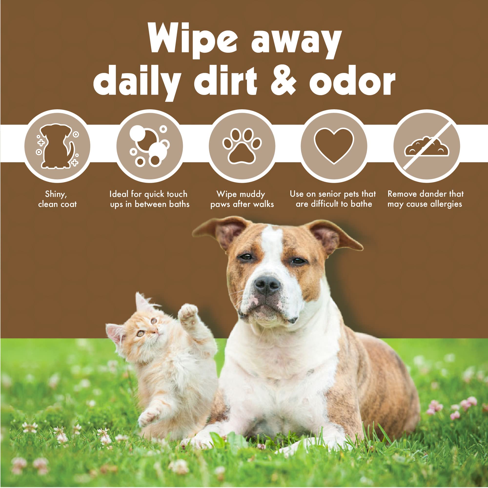 Two-pack display of Petkin Wipes highlighting value and convenience.