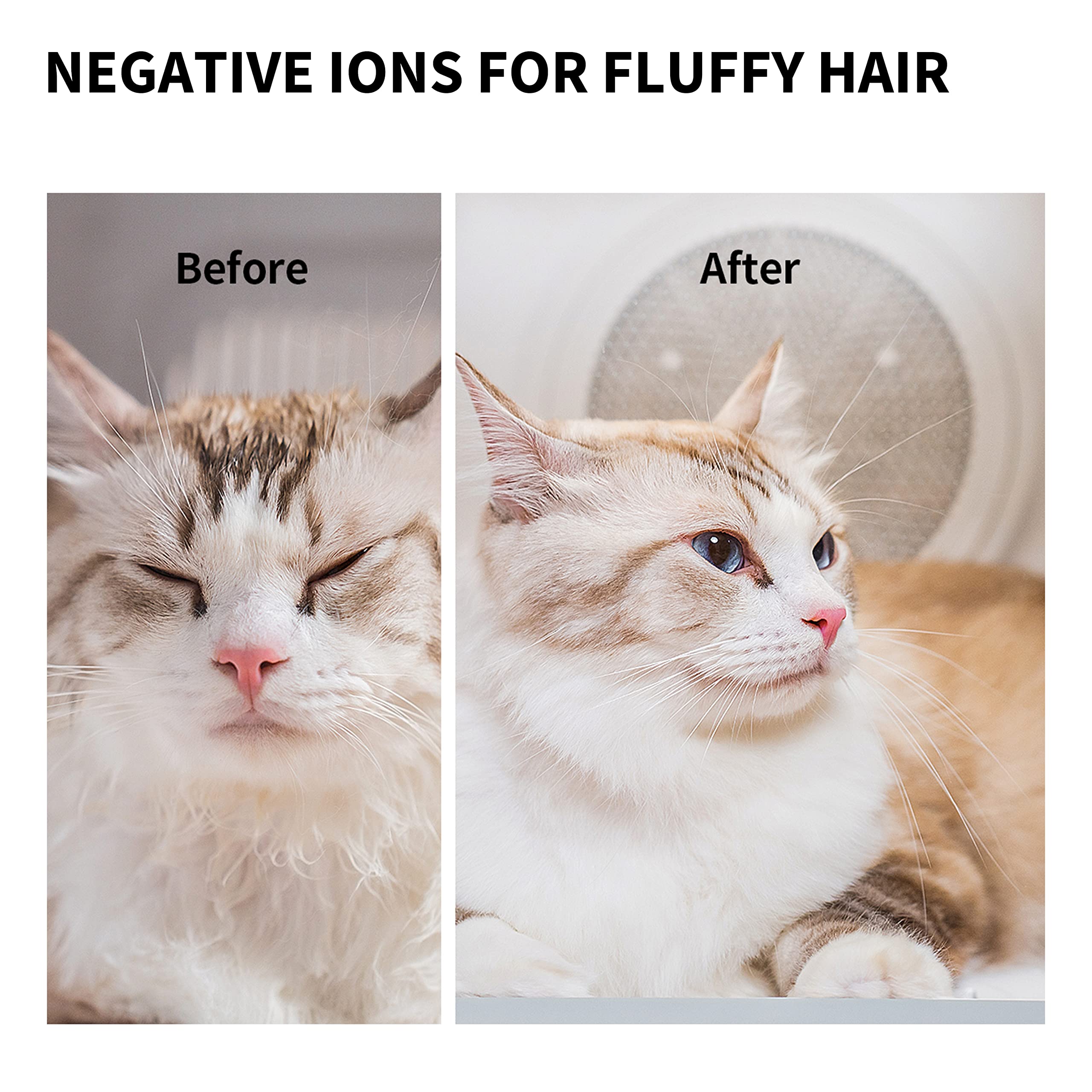 PETKIT AIRSALON MAX app control interface highlights temperature settings and mode options