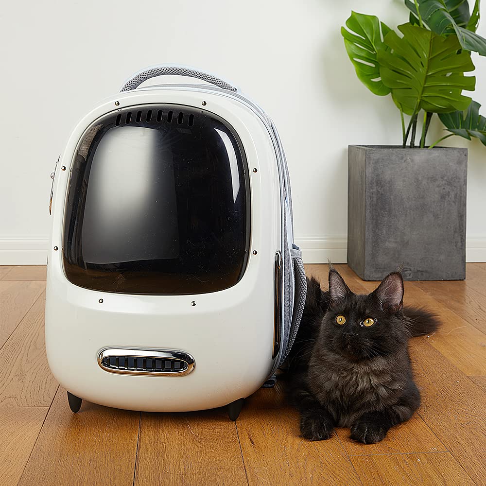 PETKIT cat backpack size and airline-friendly dimensions for travel planning