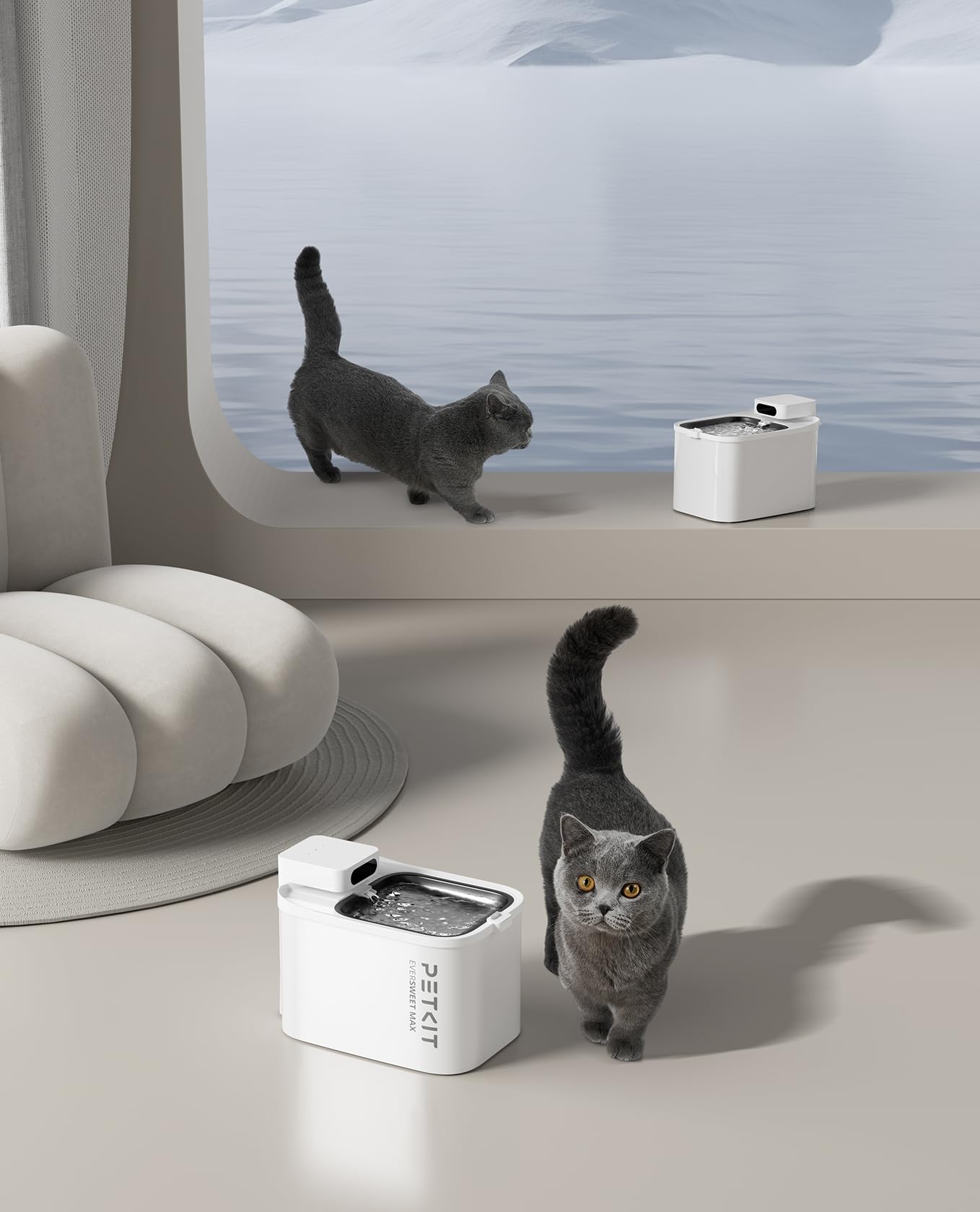 PETKIT EVERSWEET MAX cleaning brush included for simple maintenance.