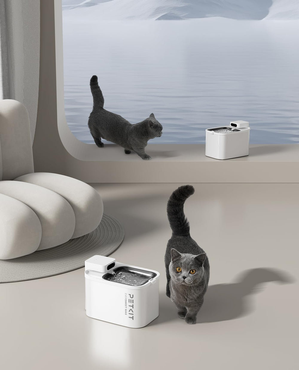 PETKIT EVERSWEET MAX cleaning brush included for simple maintenance.