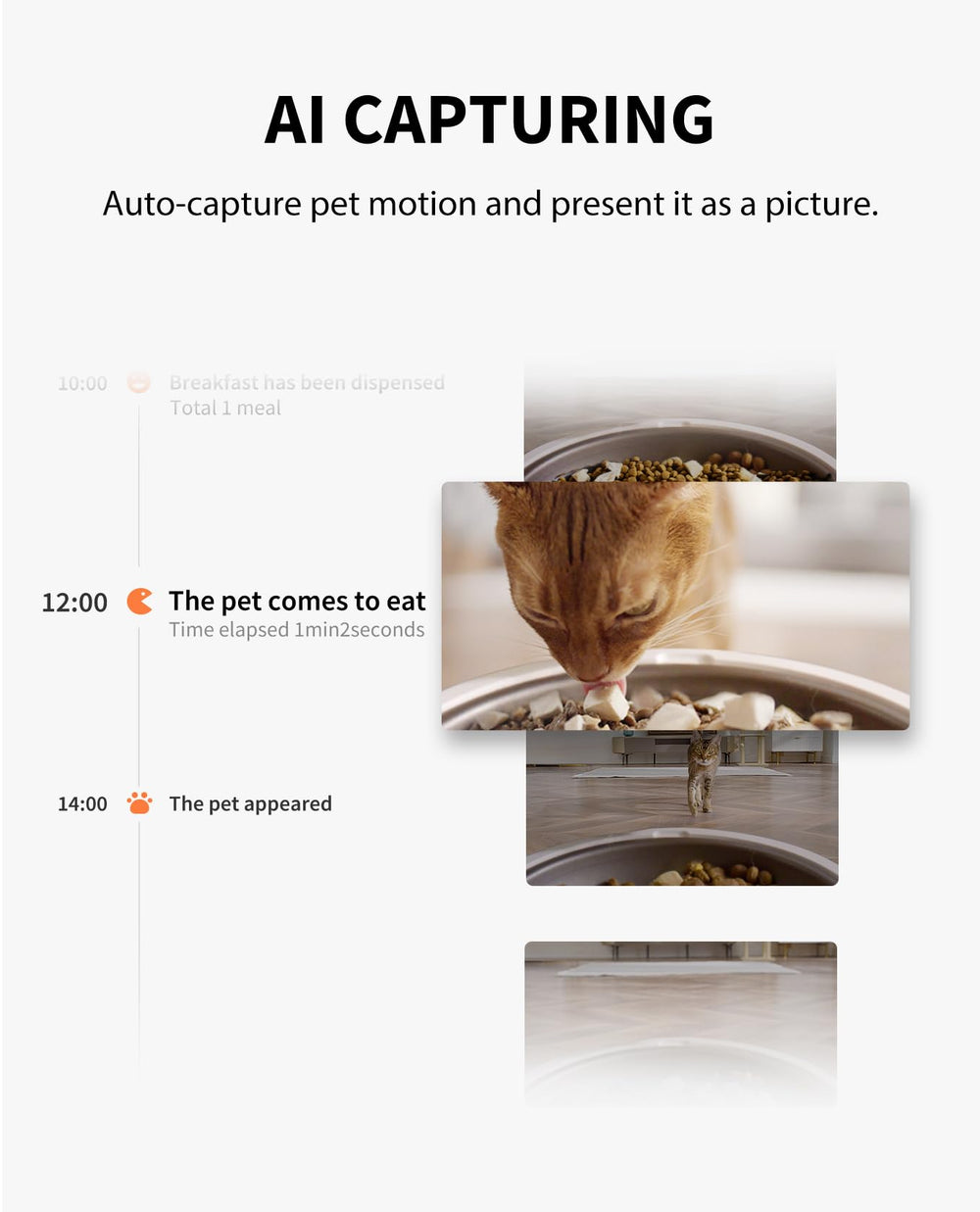 PETKIT two-way audio meal call lets you greet cats and guide feeding.