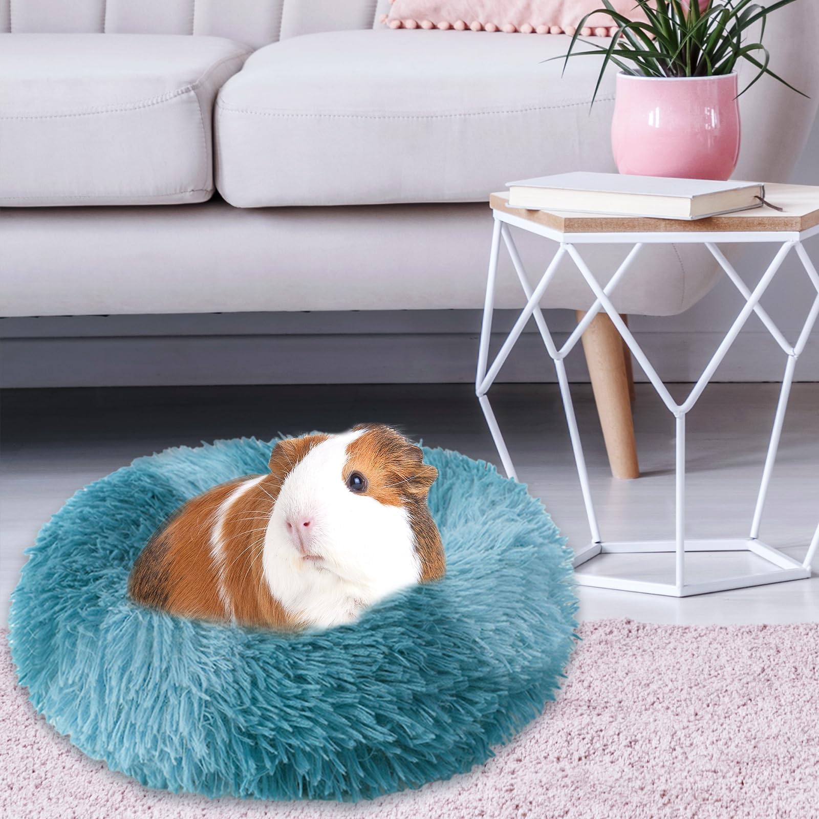 PETKNOWS guinea pig bed 30x30 cm fits hamsters, guinea pigs, and small rabbits.