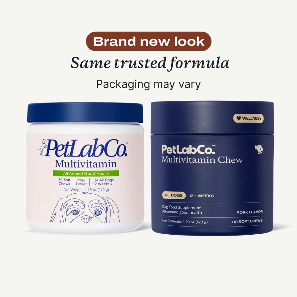 PetLab Co 22in1 dog multivitamin chew closeup highlights tasty pork flavor for daily use