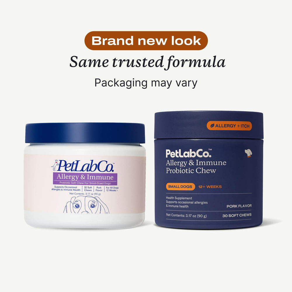 PetLab Co probiotic chews closeup highlights texture for gut balance