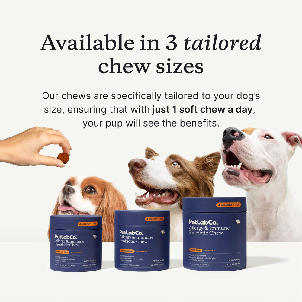 PetLab Co. chews in hand demonstrate easy daily administration.