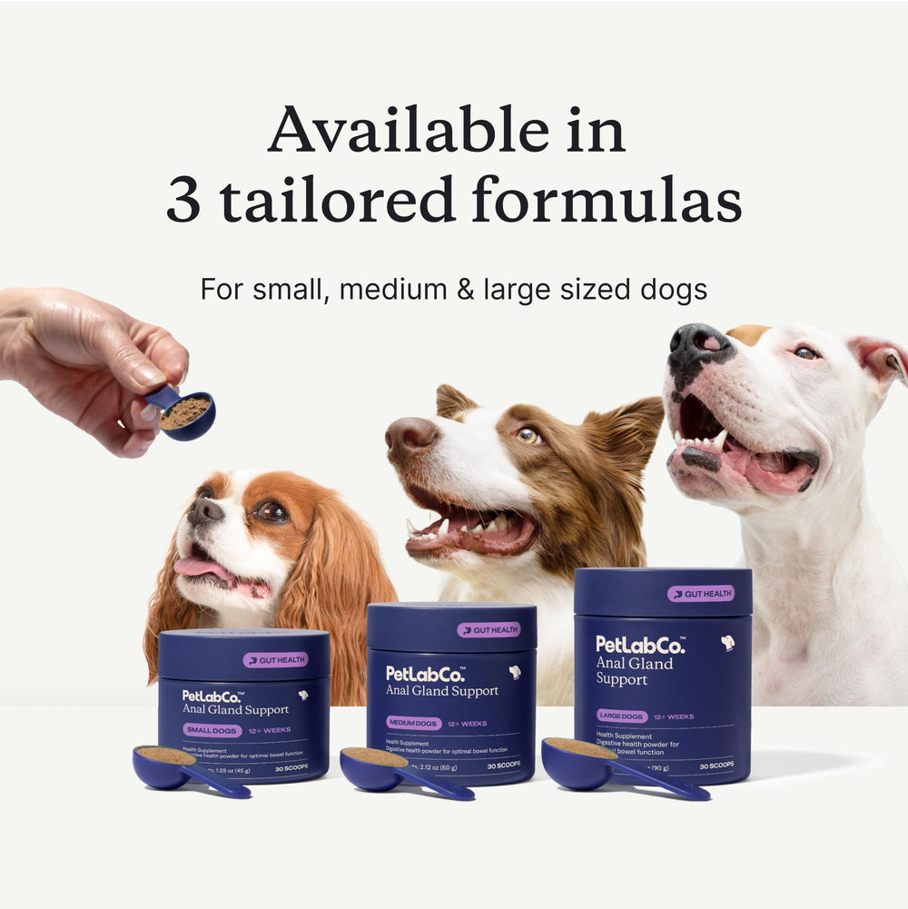 PetLab Co Anal Gland Support powder dog-meal mixing shows easy food integration