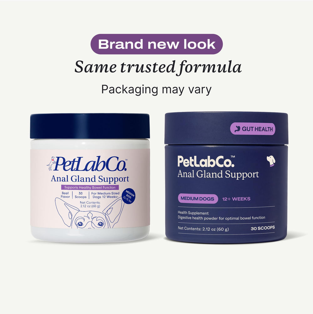 PetLab Co Anal Gland Support powder jar label shows premium US-sourced ingredients
