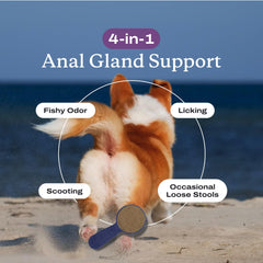 PetLab Co Anal Gland Support powder measuring-scoop fits daily meal mixing