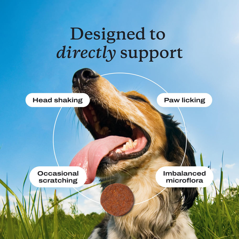 PetLab Co chews in bowl illustrate daily routine for dogs