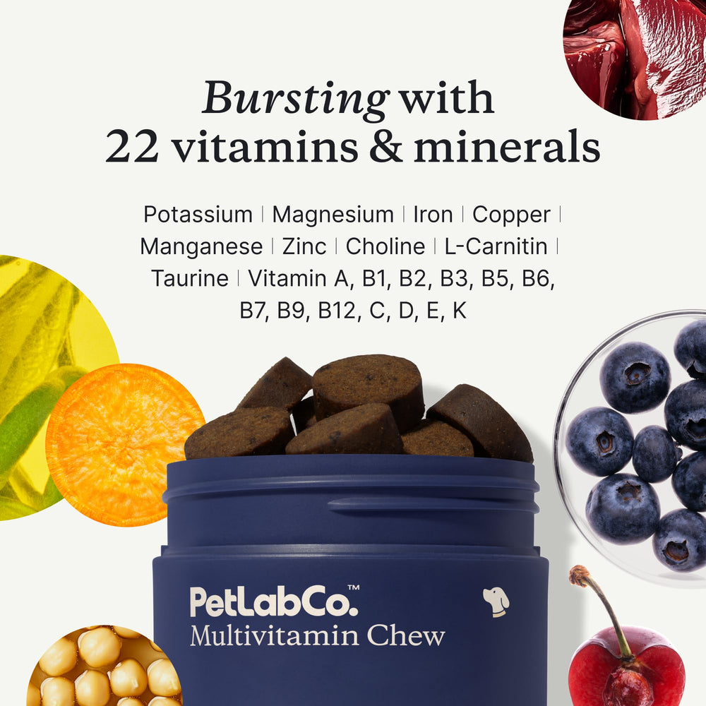PetLab Co. dog multivitamin packaging varies signals immune support potential.