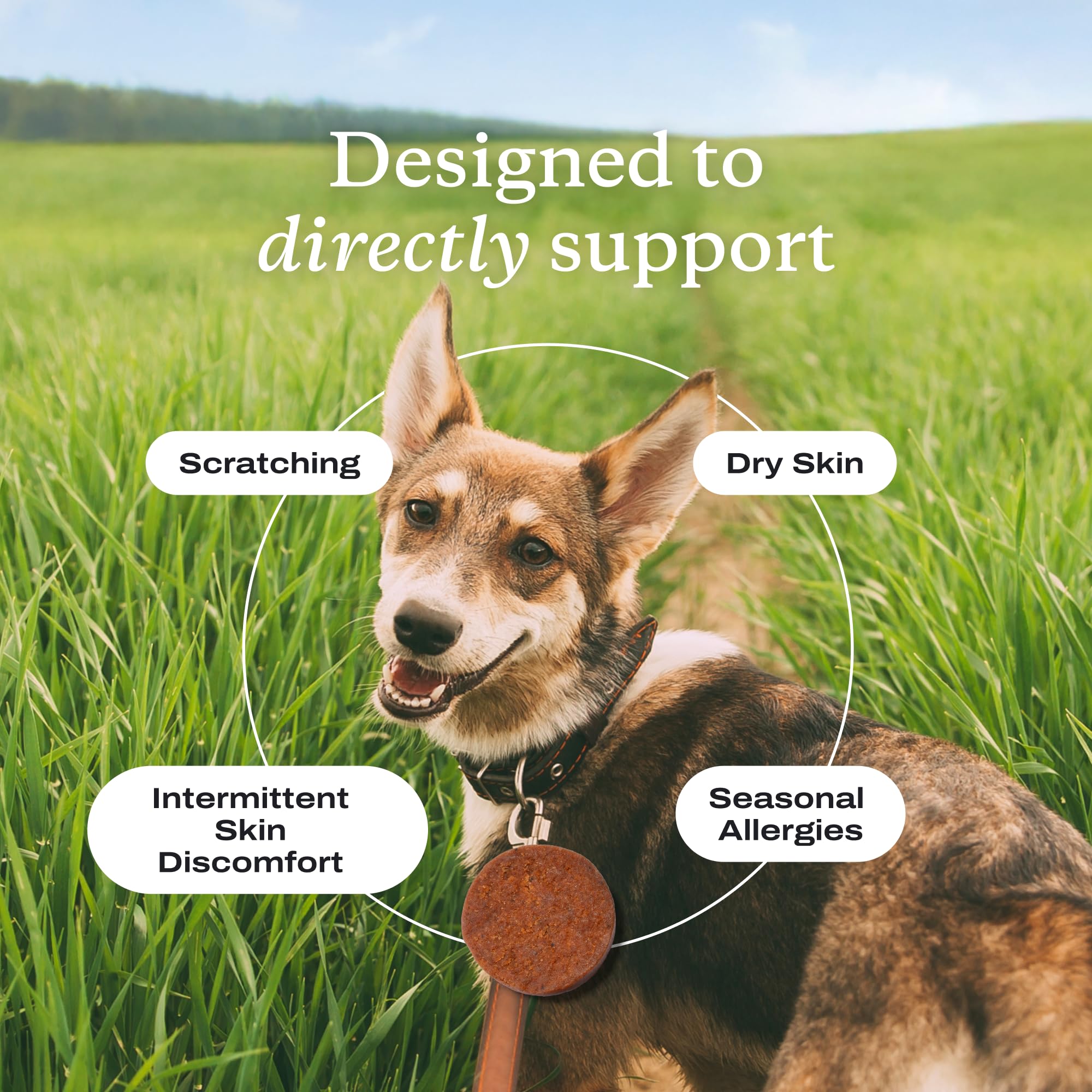 PetLab Co Itch Relief Chews package notes Made in USA for quality assurance.