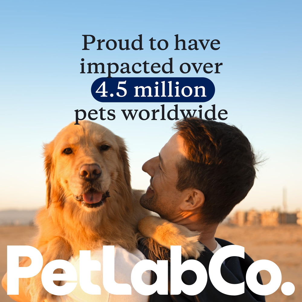 PetLab Co Joint Care Chews NASC badge on packaging signals quality.