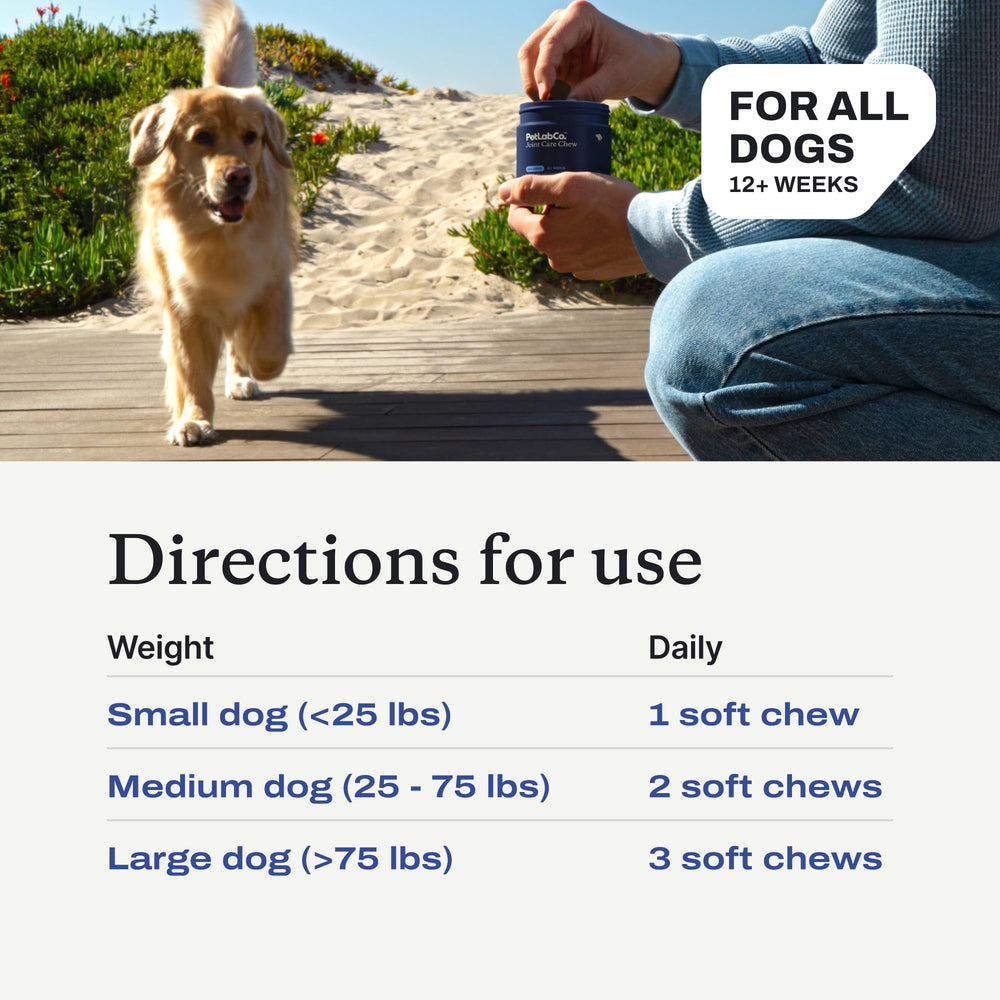PetLab Co Joint Care Chews salmon-flavored chew encourages daily use.